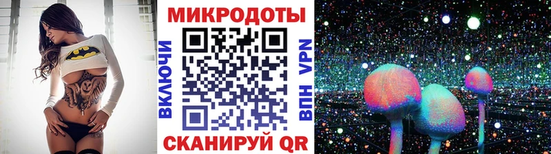 Псилоцибиновые грибы Psilocybine cubensis shop состав Королёв